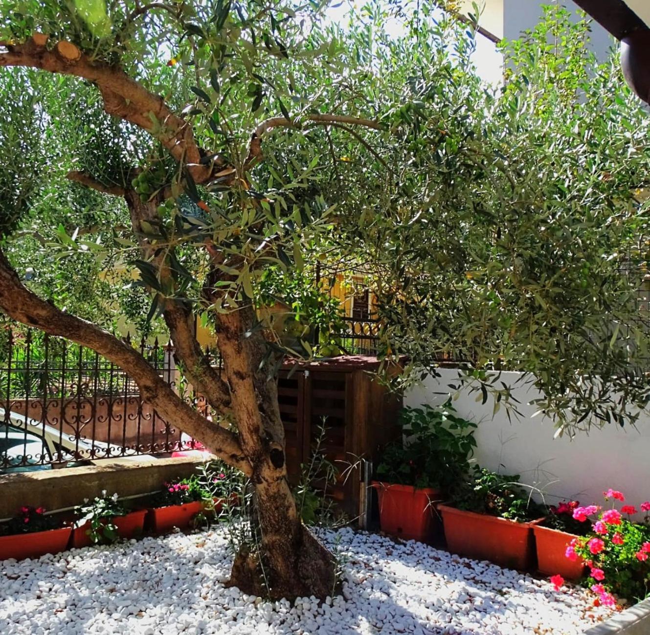Le Sorgenti Guest House Ilbono المظهر الخارجي الصورة